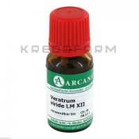 Вератрум Вириде ● Veratrum Viride