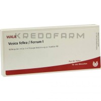 Везика Феллеа ● Vesica Fellea