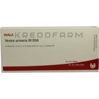 Везика Уринариа ● Vesica Urinaria