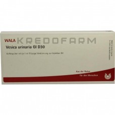 Везіка Урінаріа ● Vesica Urinaria