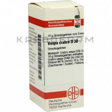 Веспа Крабро ● Vespa Crabro