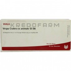 Веспа Крабро ● Vespa Crabro