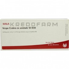 Веспа Крабро ● Vespa Crabro