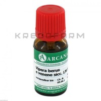 Випера Берус ● Vipera Berus