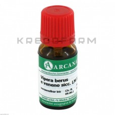 Віпера Берус ● Vipera Berus