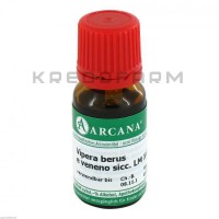 Випера Берус ● Vipera Berus