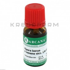 Віпера Берус ● Vipera Berus