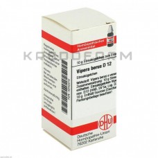 Віпера Берус ● Vipera Berus