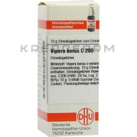 Випера Берус ● Vipera Berus