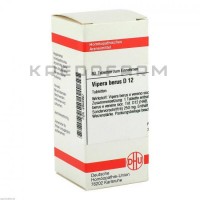 Випера Берус ● Vipera Berus