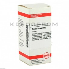 Віпера Берус ● Vipera Berus