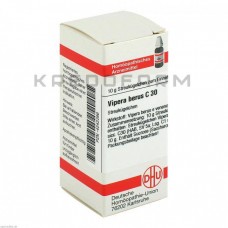 Віпера Берус ● Vipera Berus