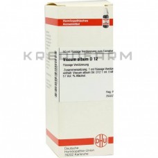 Віскум Альбум ● Viscum Album