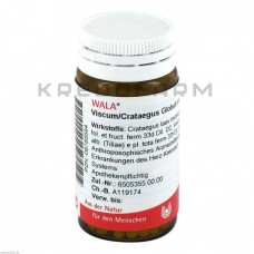 Віскум Кратегус ● Viscum Crataegus