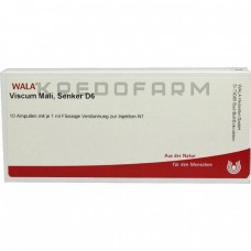 Віскум Малі ● Viscum Mali