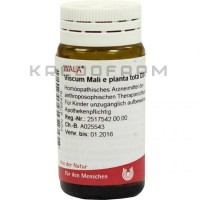 Віскум Малі ● Viscum Mali