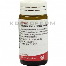 Віскум Малі ● Viscum Mali