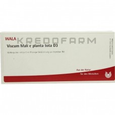 Віскум Малі ● Viscum Mali