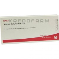 Віскум Малі ● Viscum Mali