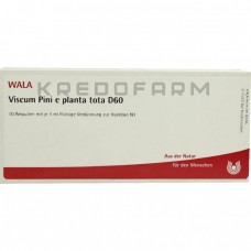 Віскум Піні ● Viscum Pini