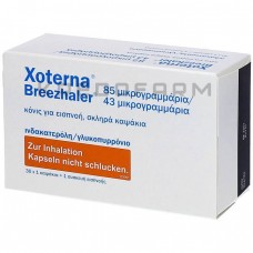 Ксотерна ● Xoterna