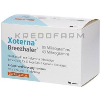 Ксотерна ● Xoterna