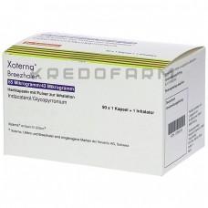 Ксотерна ● Xoterna