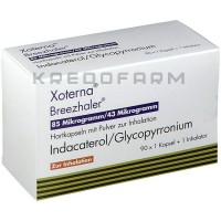 Ксотерна ● Xoterna