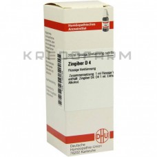 Зінгібер ● Zingiber