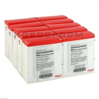 Цитроненсаурциклюс ● Zitronensäurezyklus